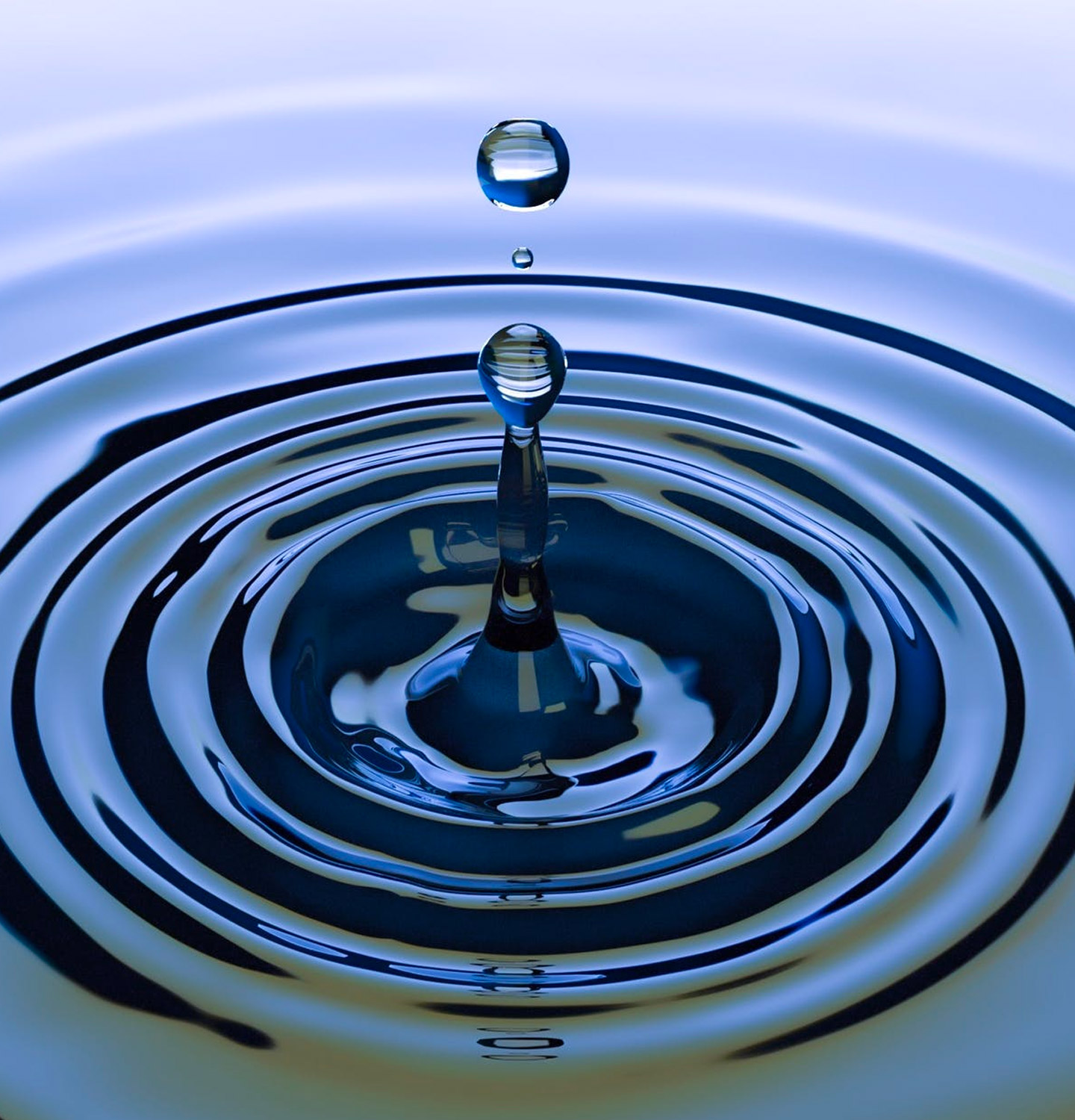 The Sofey Shockwave: Rippling Through The Internet